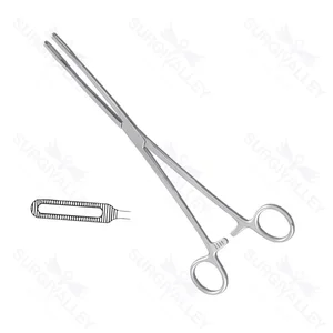 OB/GYN
